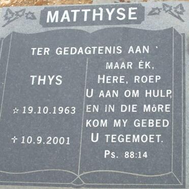MATTHYSE Thys 1963-2001