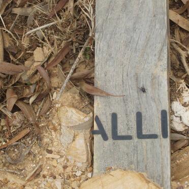 ? Alli