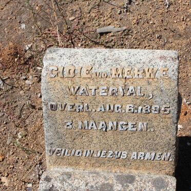 MERWE Gidie, van der -1895