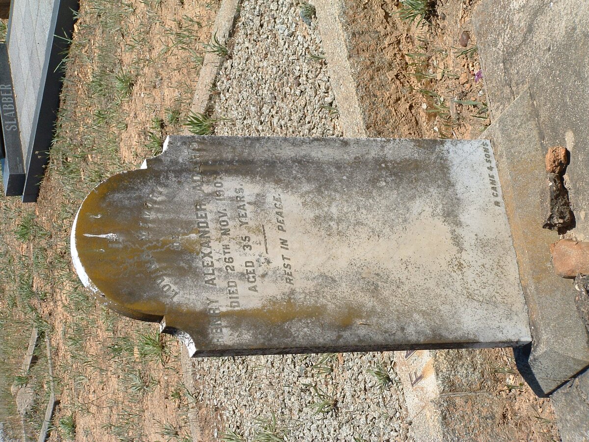 ADAMS Henry Alexander -1907