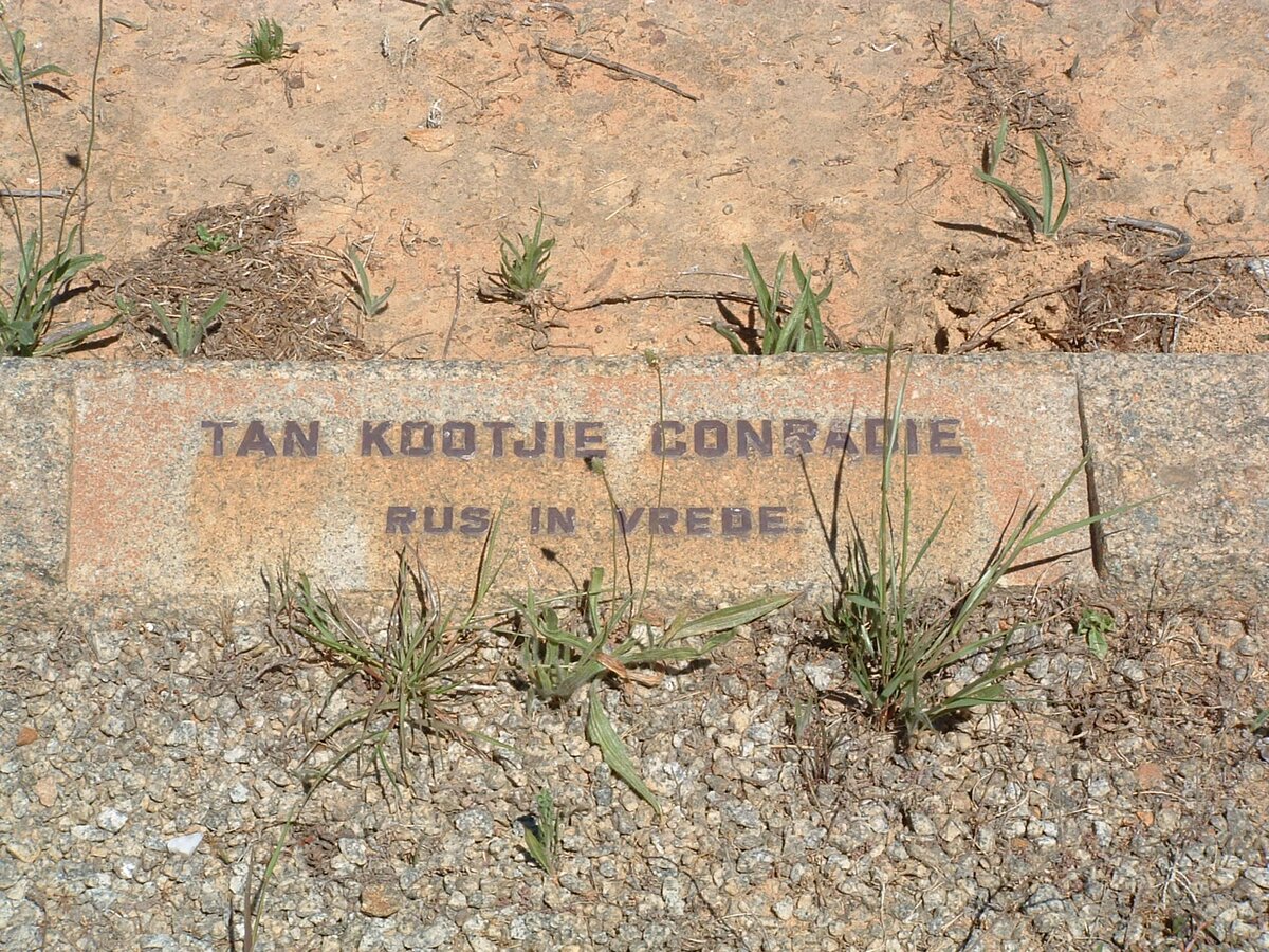 CONRADIE Tan Kootjie