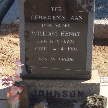 JOHNSON William Henry 1858-1918