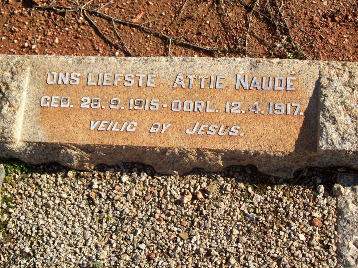 NAUDE Attie 1915-1917