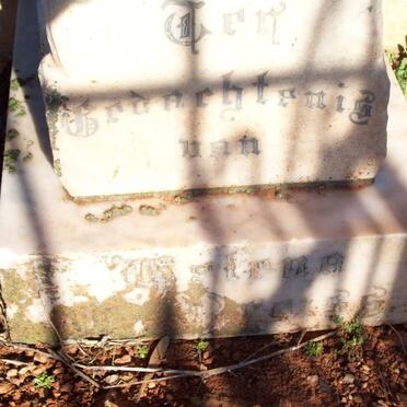 PREISS Helena 1905-1906