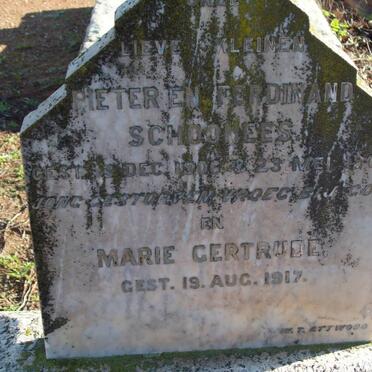 SCHOONEES Pieter  -1906 :: SCHOONEES Ferdinand -1907 :: SCHOONEES Marie Gertrude -1917