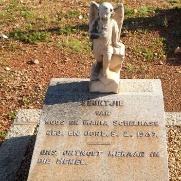 SCHELHASE seuntjie 1947-1947