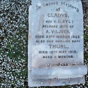 VILJOEN Gladys nee V.D. BYL -1923 :: VILJOEN Thurl -1916