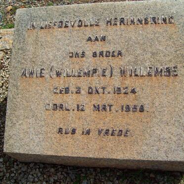 WILLEMSE Awie 1924-1956