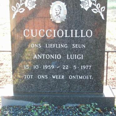 CUCCIOLOLLO Antonio Luigi 1959-1977
