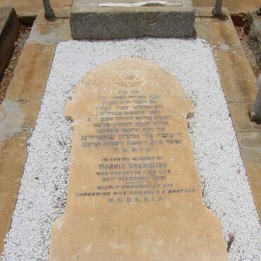 SHANDLING Morris -1931