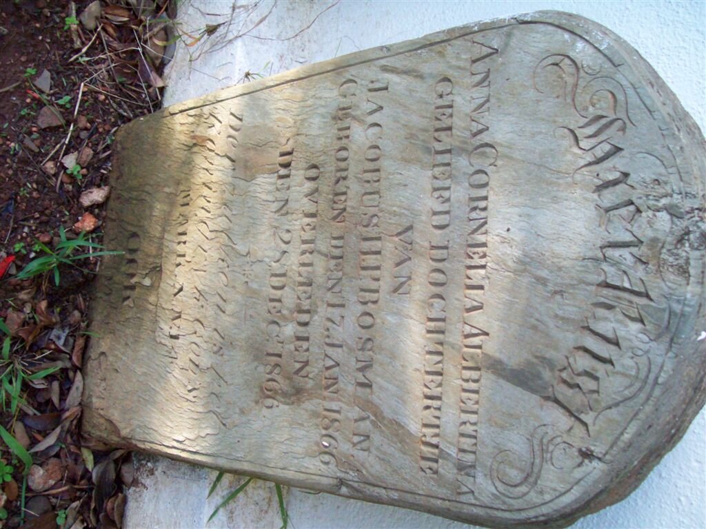 BOSMAN Anna Cornelia Albertina 1866-1866