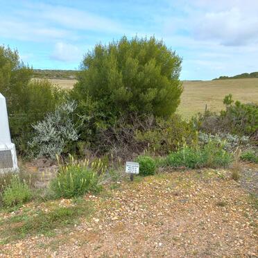 Western Cape, RIVERSDALE district, R305 between N2 and Stilbaai, Memorial