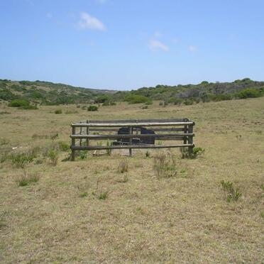 2. Overview on cemetery