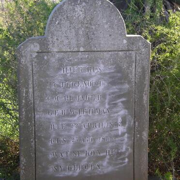 JAGER C.M., de nee WIEHMAN 1877-1944