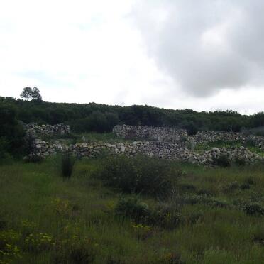 1. Overview