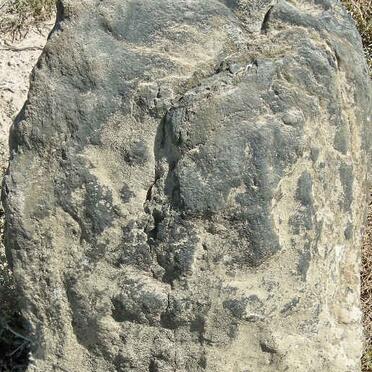 Western Cape, RIVERSDALE district, Albertinia, Tweekuilen 309, farm cemetery_1