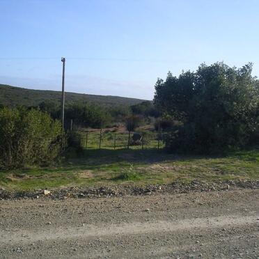 Western Cape, RIVERSDALE district, Goukou river, Bauers Kloof 375, farm cemetery_1