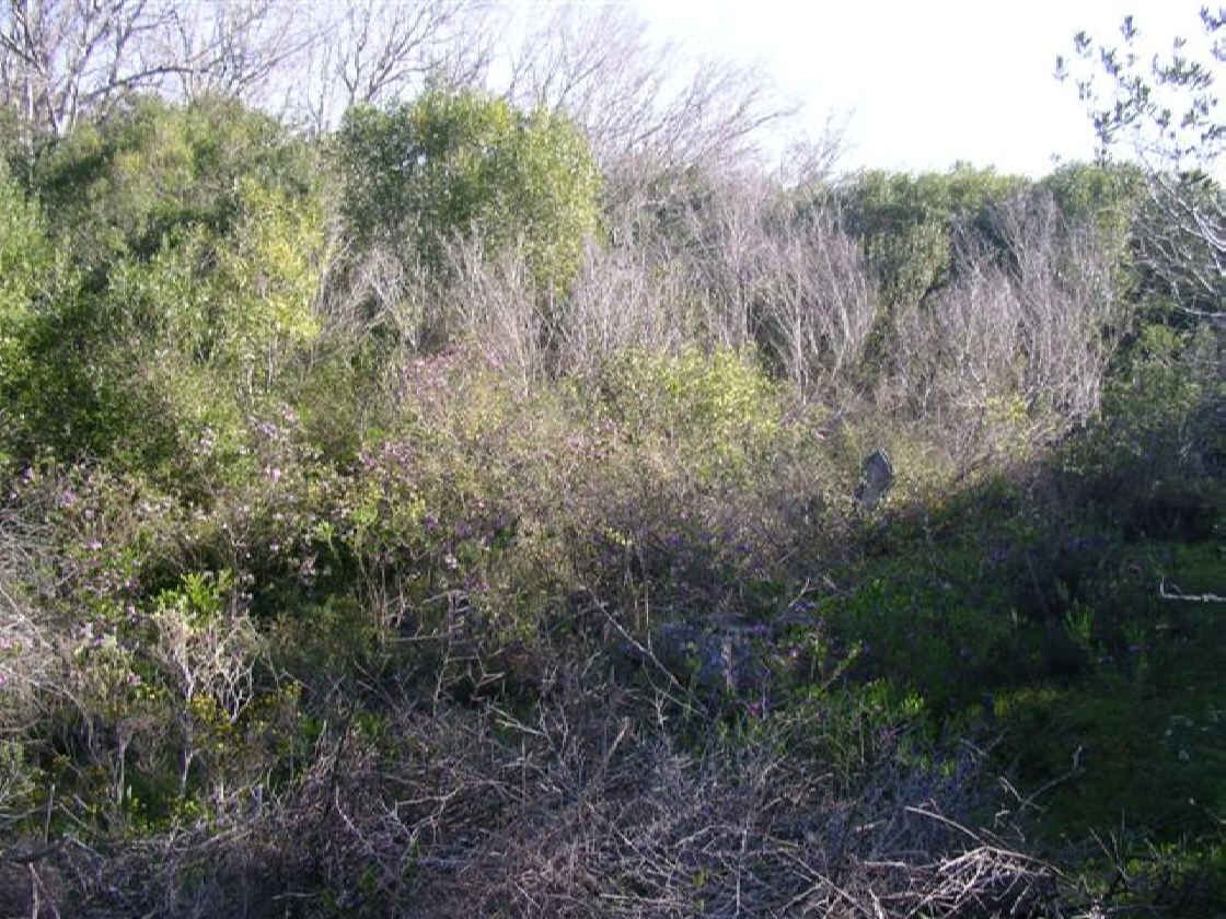 3. Overview of Cemetery