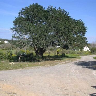 Western Cape, RIVERSDALE district, Vermaaklikheid, Vermaaklykheid 499, farm cemetery_01
