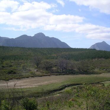 Western Cape, RIVERSDALE district, Unknown farm, Korinte Poort Dam farm cemetery