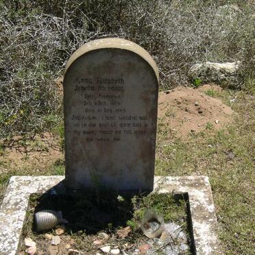 ODENDAAL Anna Elizabeth Jenetta nee PRETORIUS 1879-1945