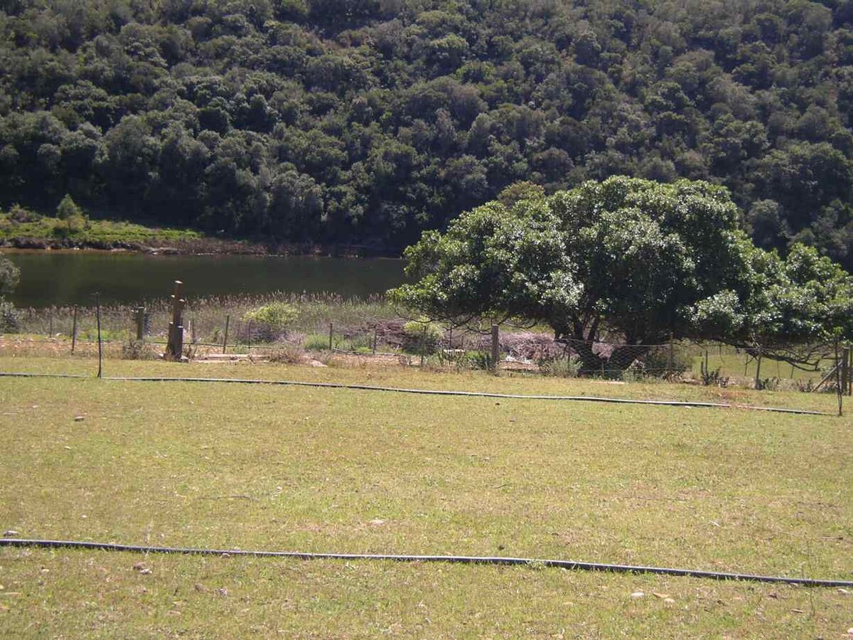 3. Cemetery overview