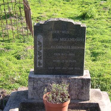 Western Cape, RIVERSDALE district, Riversdale Settlements, farm cemetery_3