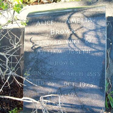 BROWN Alice Amelia 1883-1973