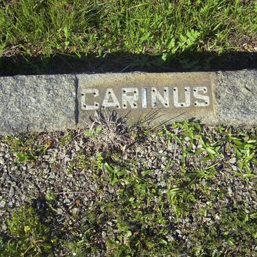 CARINUS