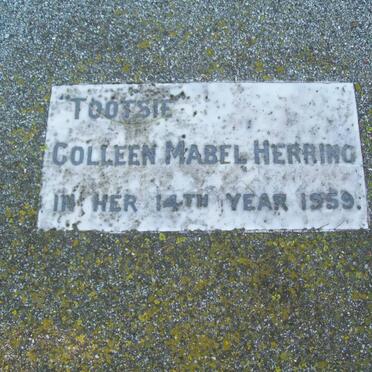 HERRING Colleen Mabel -1959