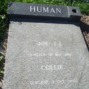 HUMAN J.J. -1987 &amp; Collie -2002