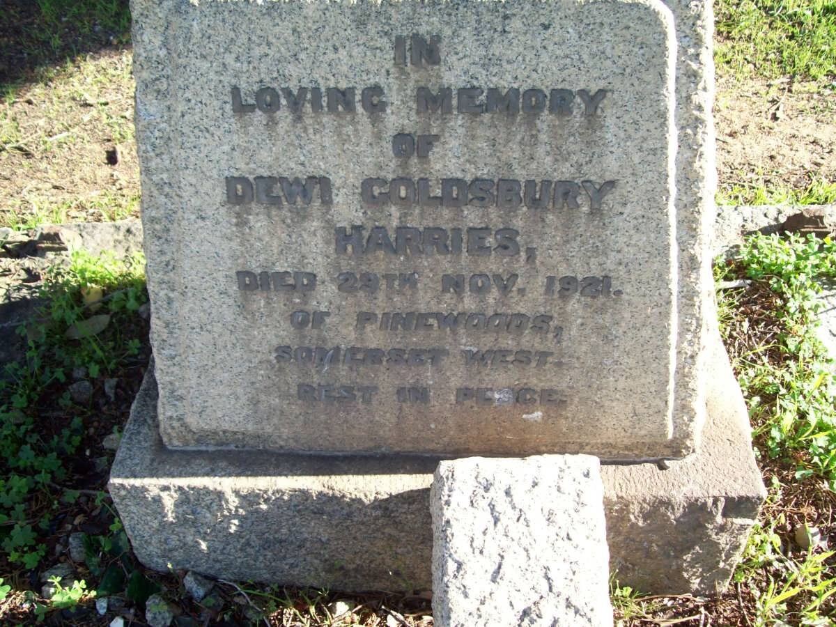 HARRIES Dewi Goldsbury -1921