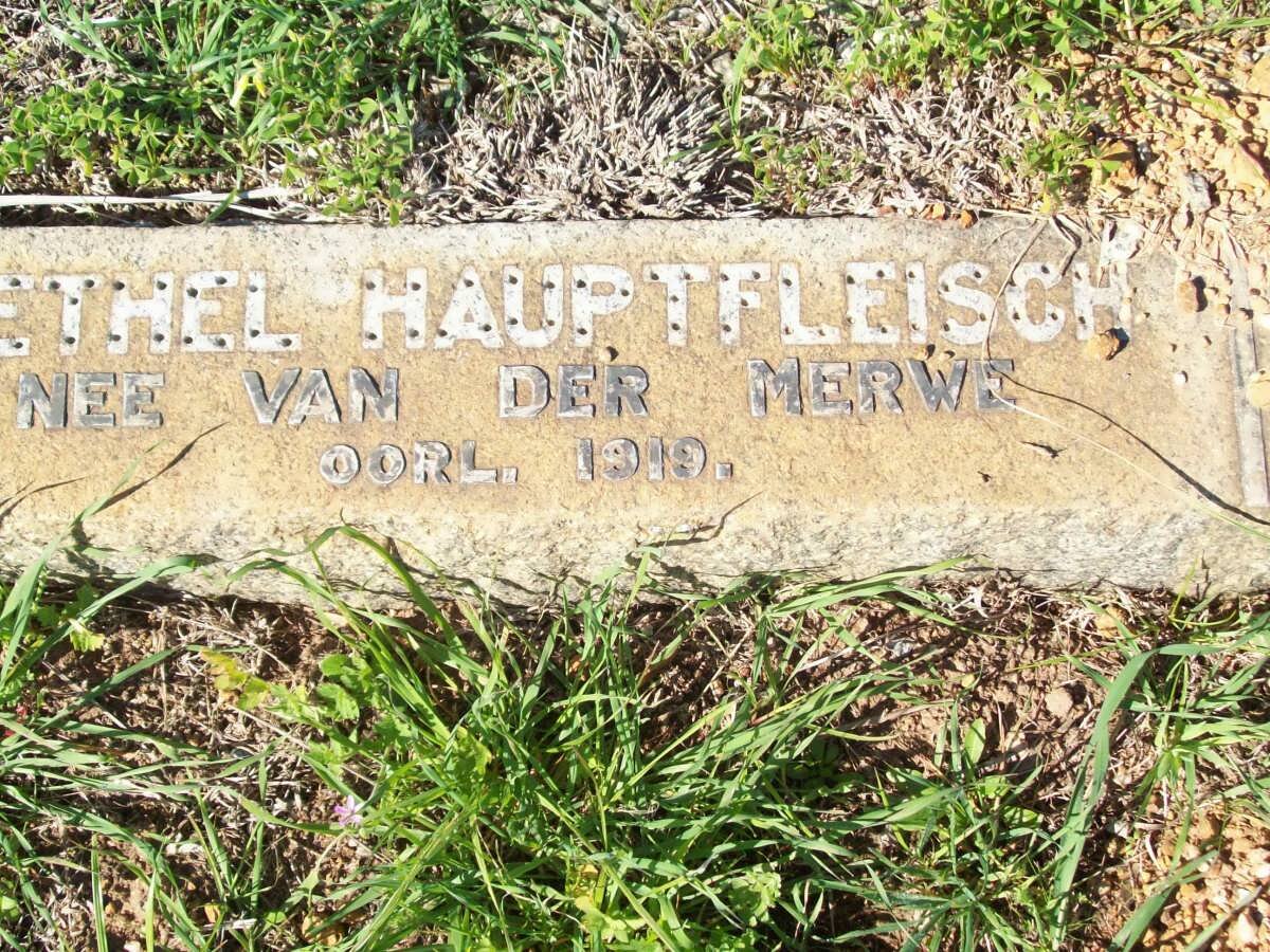 HAUPTFLEISCH Ethel nee VAN DER MERWE -1919
