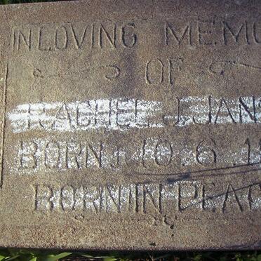 JANSEN Rachel J. 1893-