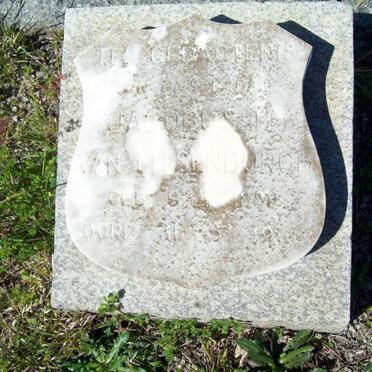 LITSENBORGH Jacobus H., van 1888-1960