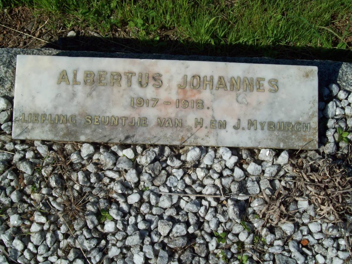 MYBURGH Albertus Johannes 1917-1918