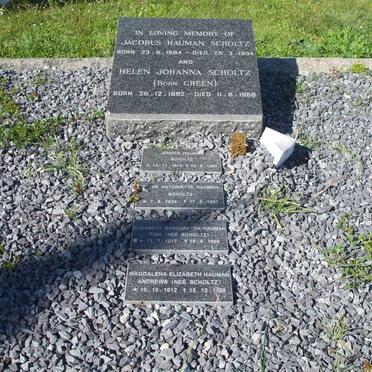 SCHOLTZ :: GREEN :: ANDREWS :: PIEK :: HAUMAN