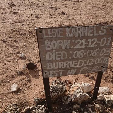 KARNELS Lesie 2001-2003