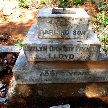 LLOYD Evelyn Ormsby French -1912