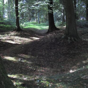 6. View of Delville Wood Today