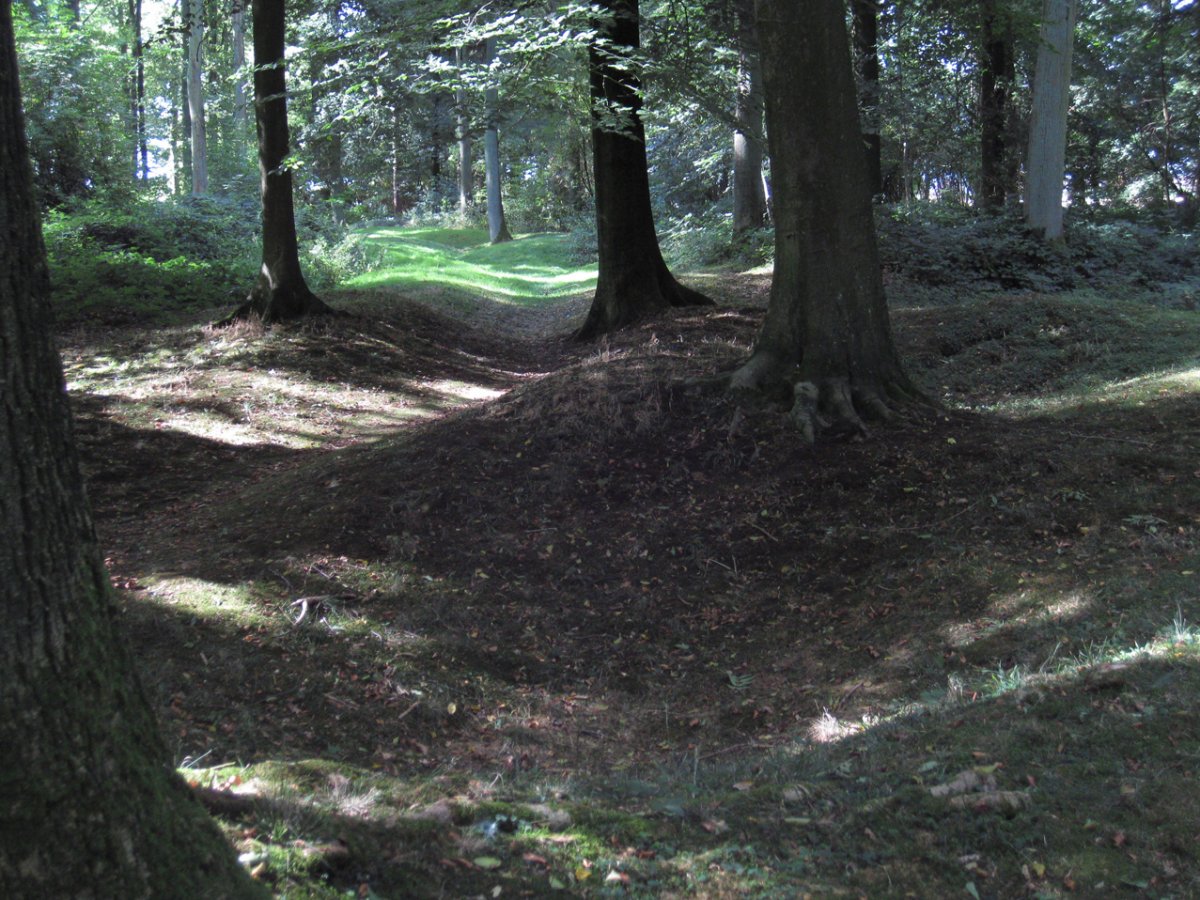 6. View of Delville Wood Today