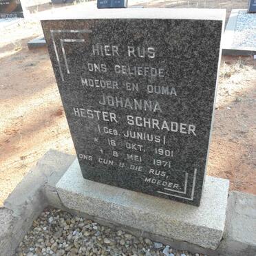 SCHRADER Johanna Hester nee JUNIUS 1901-1971