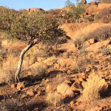 Namibia, ERONGO region, Daures, Brandberg, San grave