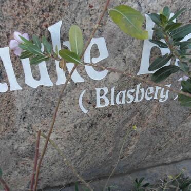BRENNER Willi 1935-2008 &amp; Frauke BLASBERG 