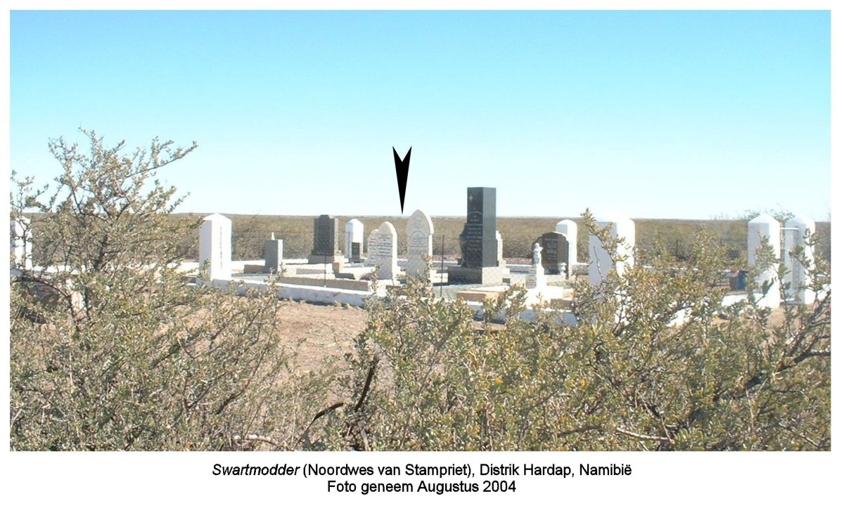 1. Overview / Oorsig