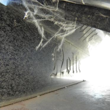 NOLTE Willem Andries 1928-1984 