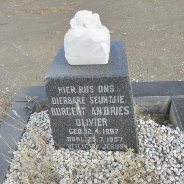 O - Surnames :: Vanne - O