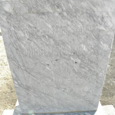 STEYN Willem Morkel 1888-1948