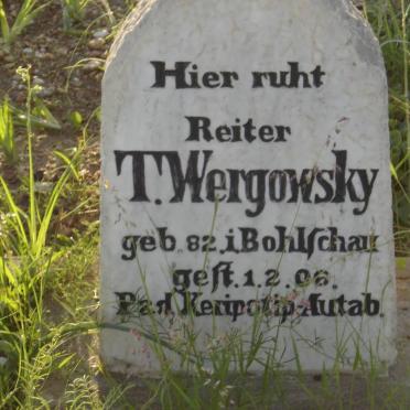 WERGOWSKY T. 1882-1906