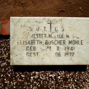 MOHLE Elisabeth Buscher 1941-1972
